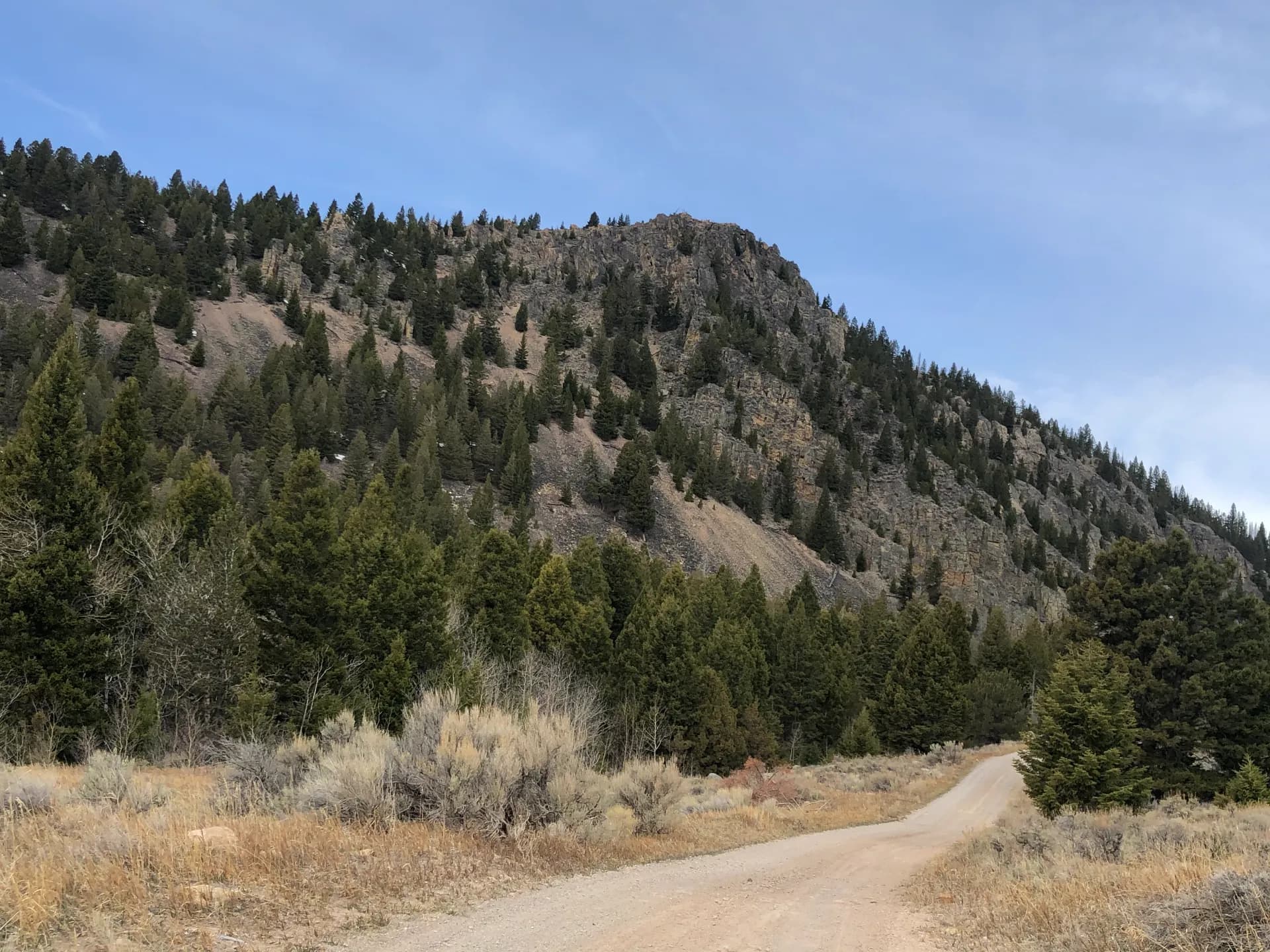 Backcountry road winding below a forested Montana ridge