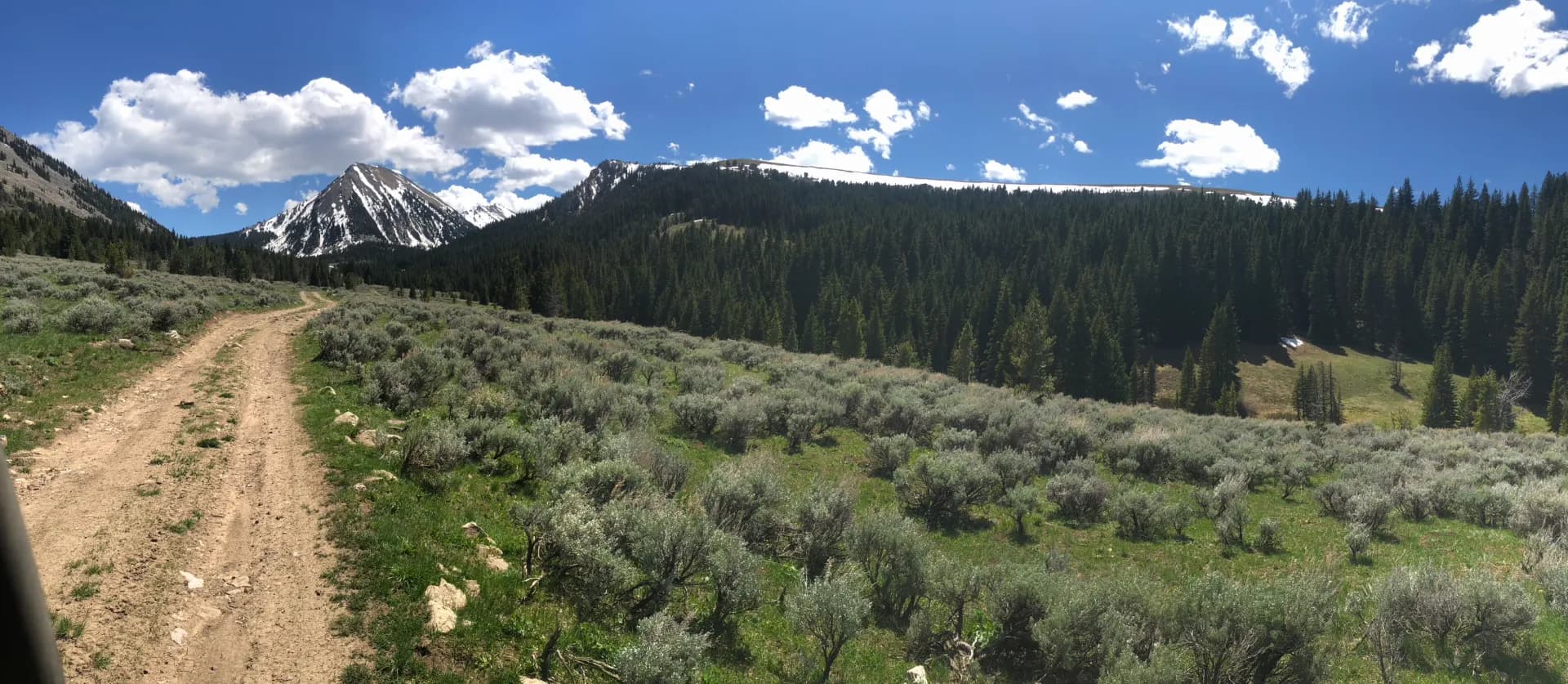 Mountain trail panorama through the Montana high country
