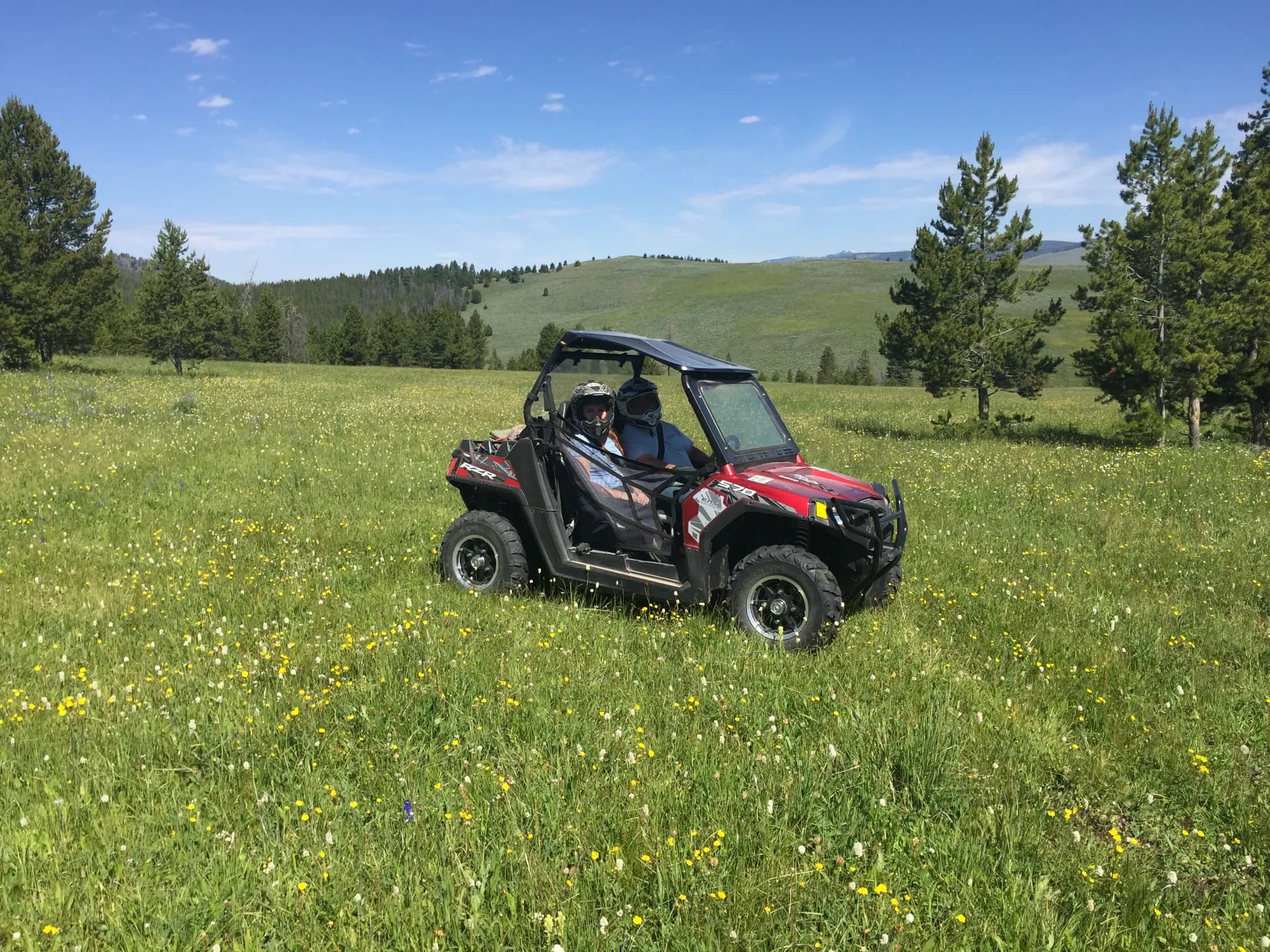 Polaris adventure in the Montana summer backcountry