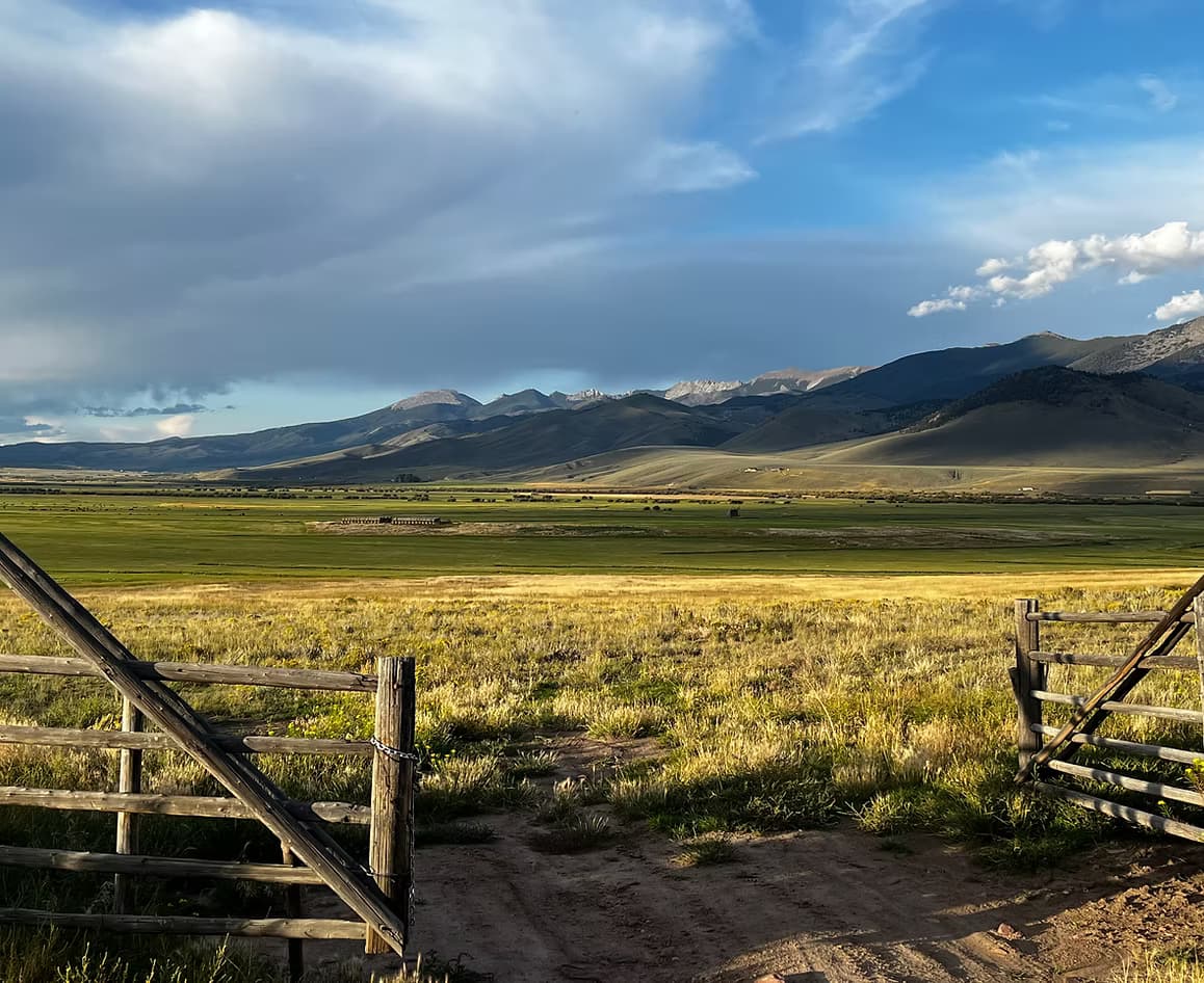 Beautiful Montana mountain landscape